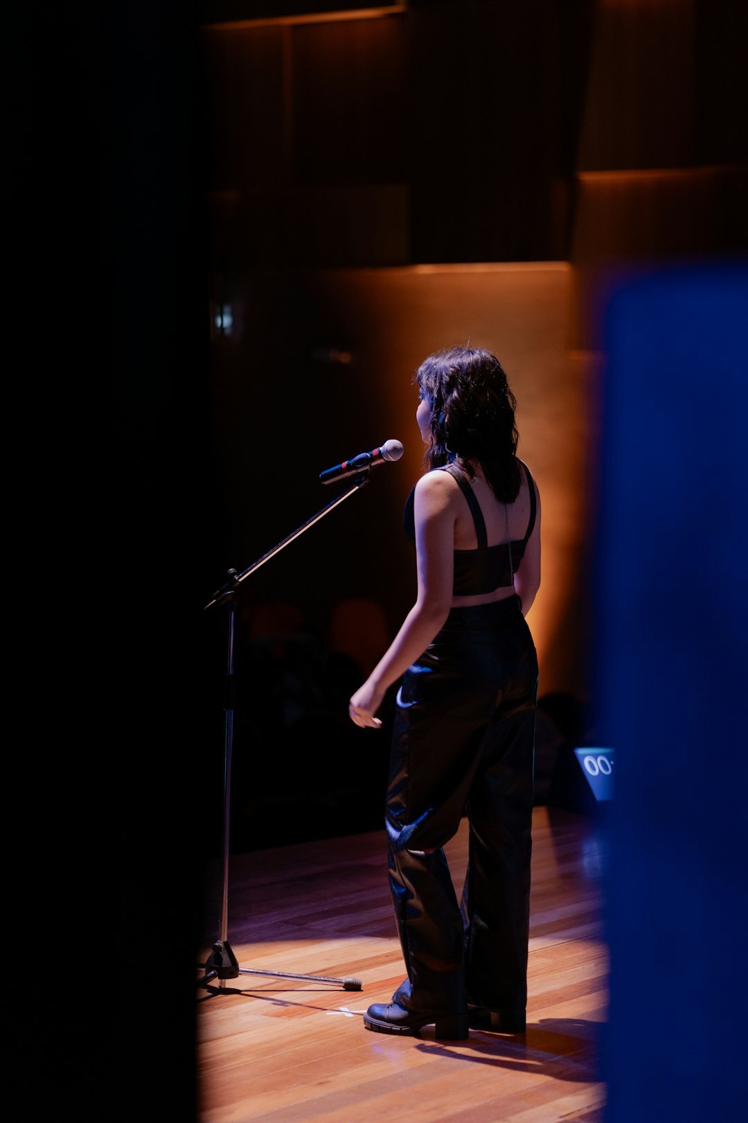 woman singing on stage